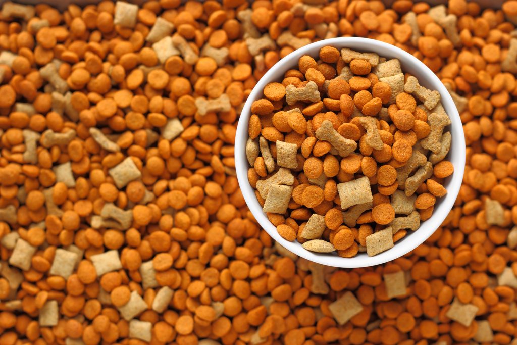 sm-Aug__19_Making_Sense_of_6_Common_Pet_Food_Terms_banner