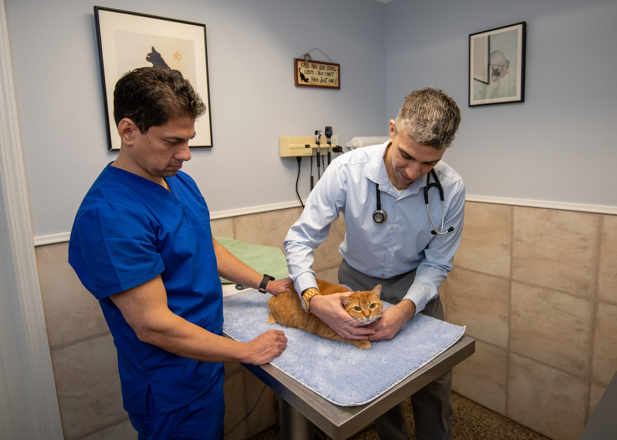 LiflanderPhotography-SH-Vet-Hospital-0009