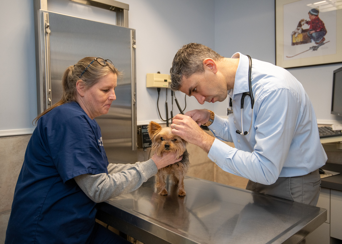 LiflanderPhotography-SH-Vet-Hospital-0032