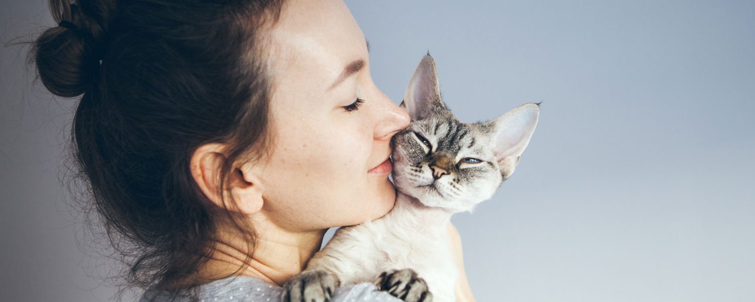 10-ways-to-give-your-cat-love-banner