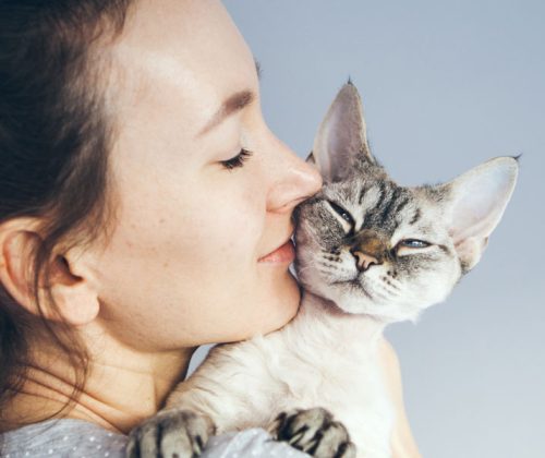 10-ways-to-give-your-cat-love-banner