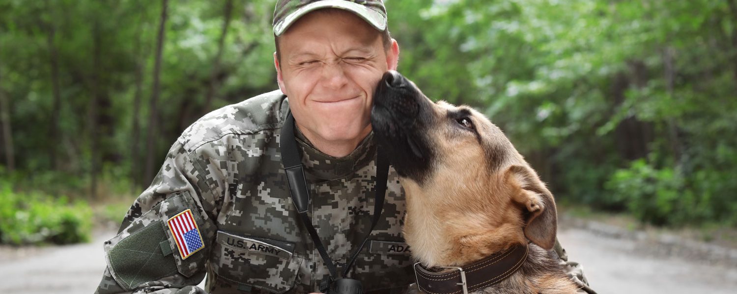 honoring-our-furry-heroes-celebrating-k-9-veterans-day-banner