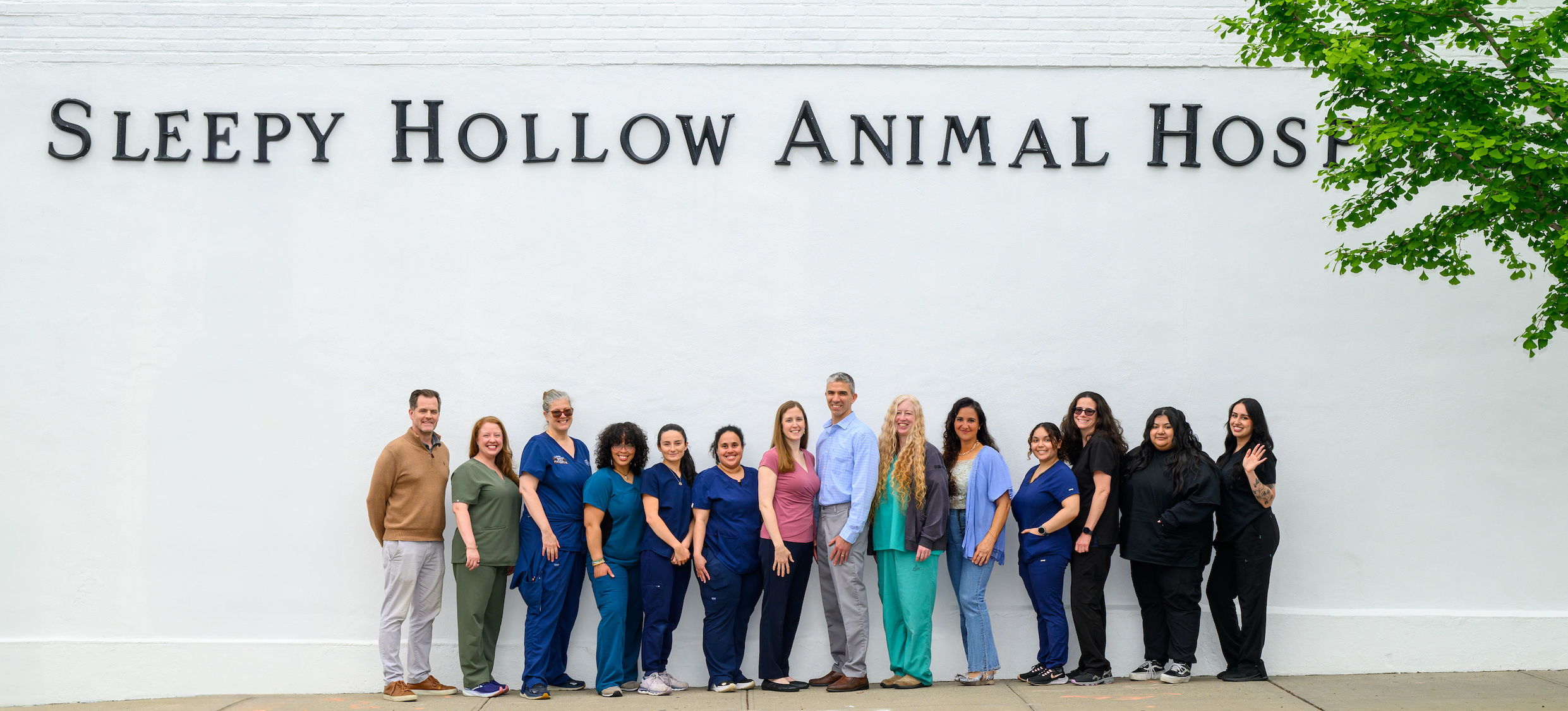Meet Our Team